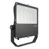 โครงการวิศวกรรมขนาดใหญ่ สาเหตุเฉพาะ 100W LED Flood Light